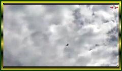IBBBR1.52.45 PM.jpeg
